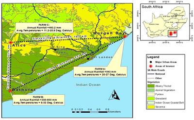 Grass composition and distribution patterns as determinants of behavioral activities and weight accumulation of Nguni and Boran cattle post-relocation